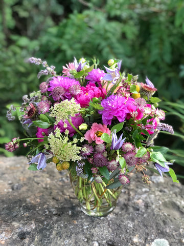 Go Wild for Wildflowers